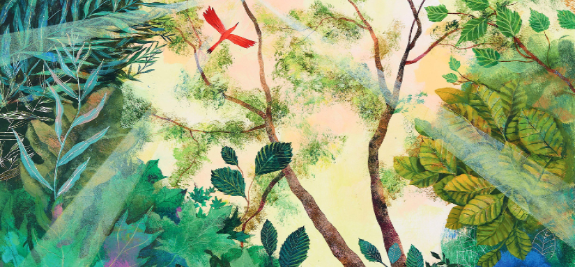 Illustration d'une foret avec des oiseaux